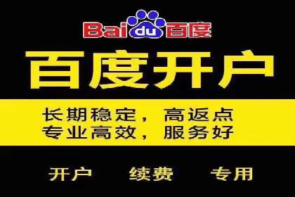 某品牌通过竞价SEM成功扩大市场份额